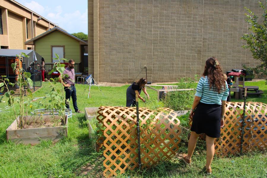 Green Schools